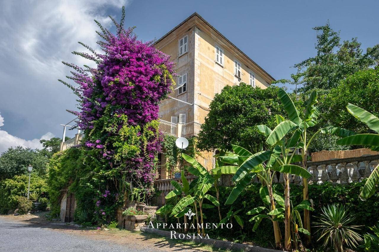 Appartamento Rosina 1