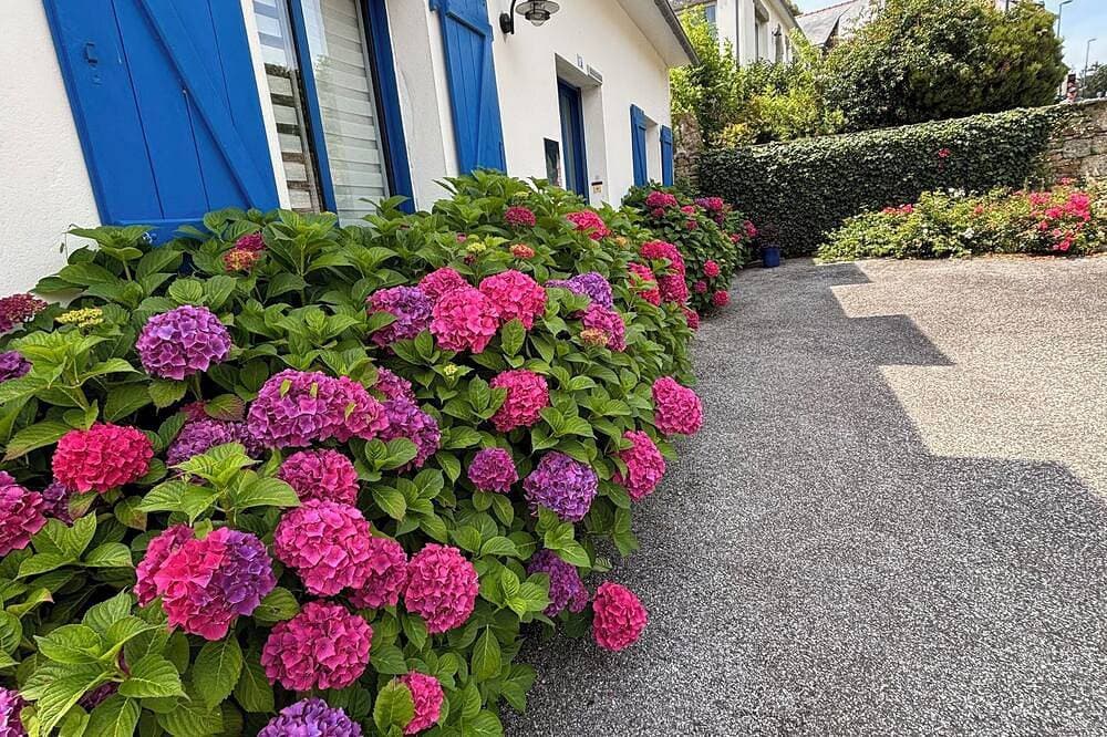 Foto 13 von 30: Jolie Maison Bleue Im Zentrum von Pont Aven nahe Geschäften und Museum