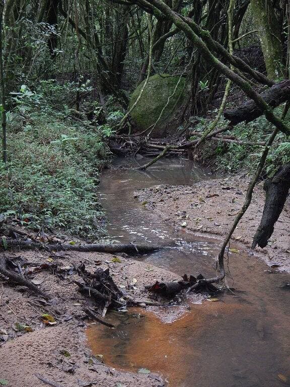 Foto 10 von 47: Gemütliche und natürliche Umgebung, nur wenige Minuten von Porto Alegre entfernt