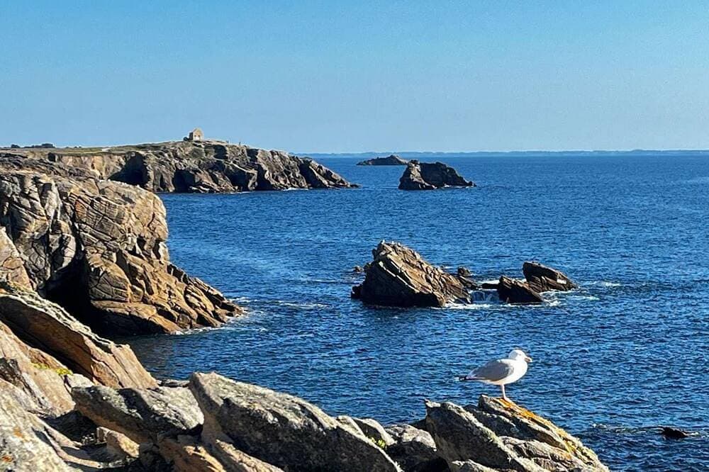 Foto 10 von 15: Quiberon - studio - 40m² - sea view