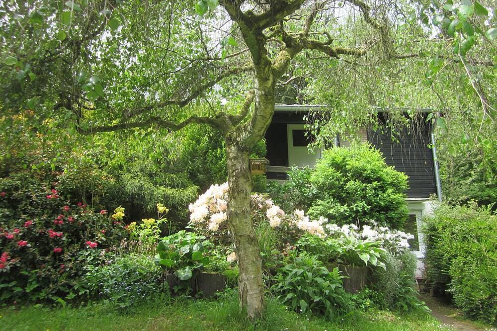 Foto 9 von 23: Holzbungalow im Naturpark Reinhardswald mit 1.000m² Grundstück - nähe Kassel