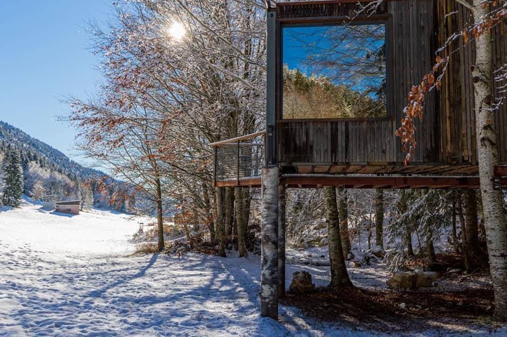 Foto 10 von 30: Kabine-Familie-Ensuite mit Dusche-Blick auf den Wald