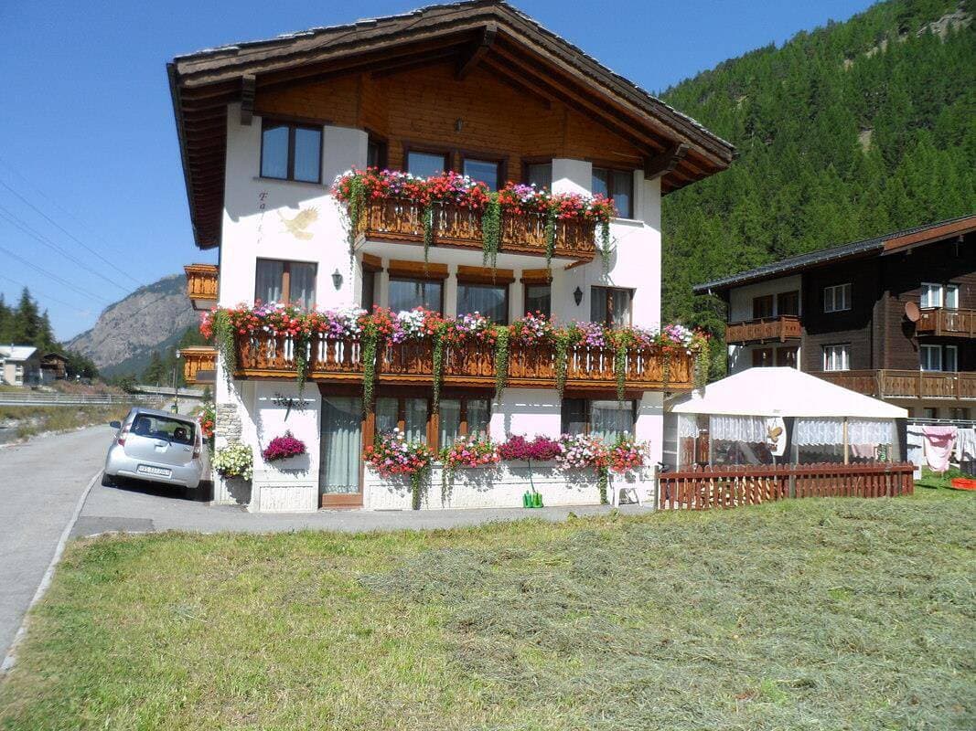 Haus Falke 1