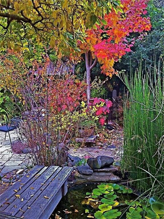 Foto 12 von 43: Schöne und Lush Versteckte Wisteria Cottage