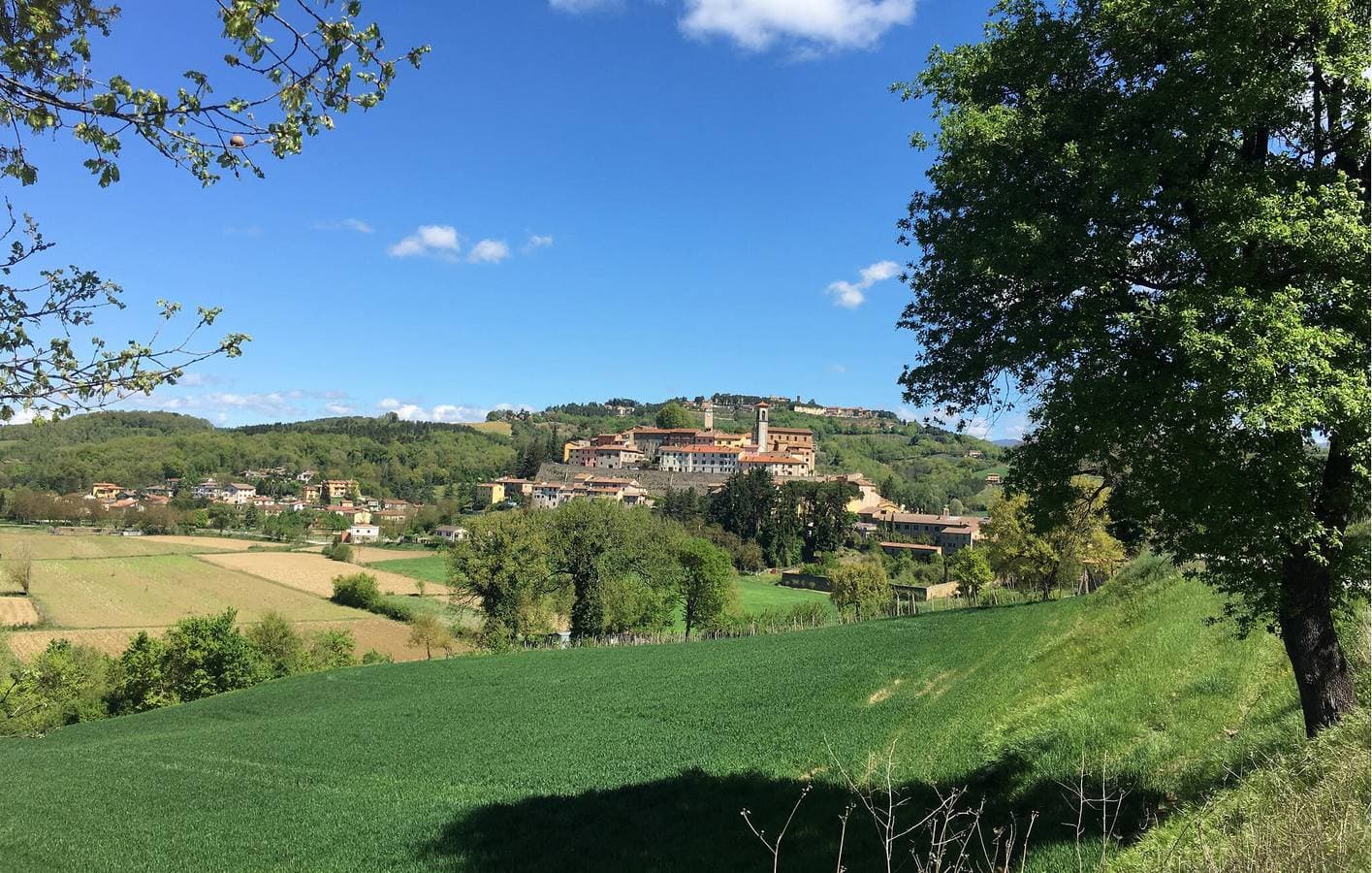 Foto 9 von 38: Ferienwohnung auf dem Lande mit Pool und Parkplatz - 1km zum Monte Santa Maria Tiberina