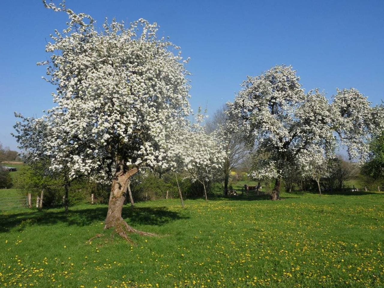 Foto 12 von 17: Charmantes, umweltfreundliches Haus mit geschlossenem Garten
