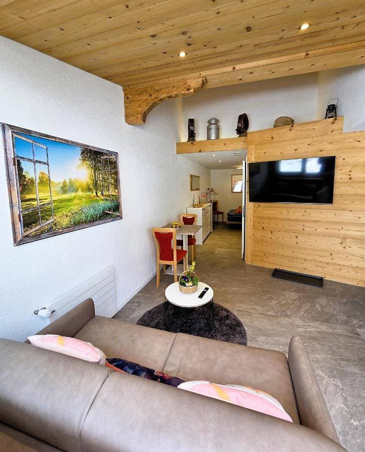 Lilo's one-room apartment 1