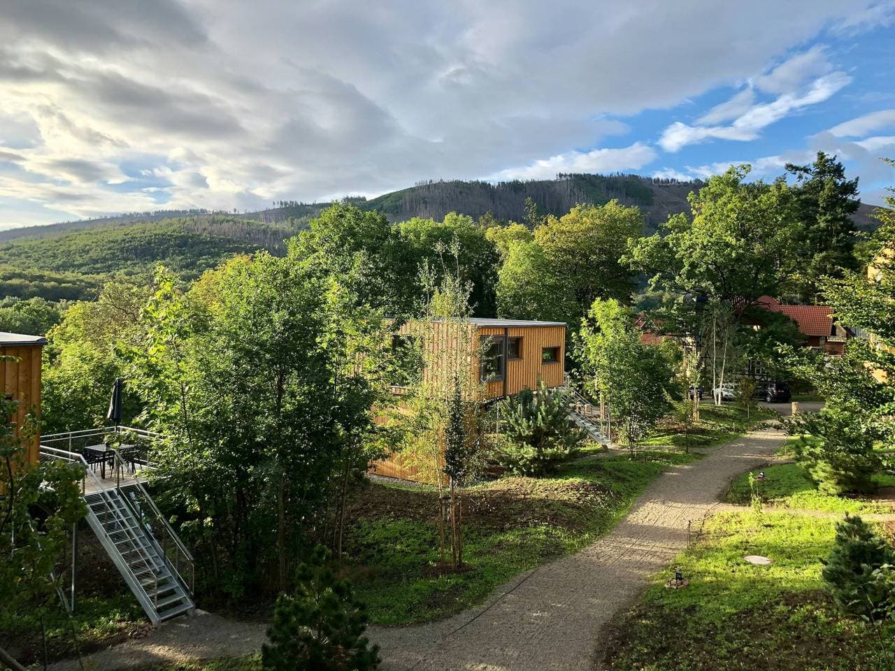 Erlebe den Nationalpark Harz vom Baumhaus aus 1