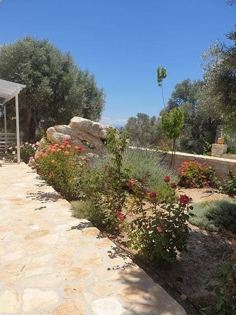 Foto 8 von 20: Villa Efthalia