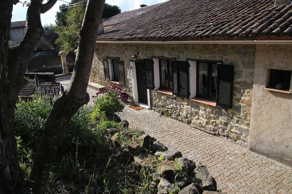 Small quiet house surrounded by olive trees between sea and mountains 1