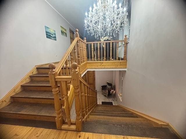 Foto 9 von 23: Zum Böhmen Ferienwohnung Hermann von Salza / Ferienhaus am See - Urlaub / Ferien in Bad Langensalza