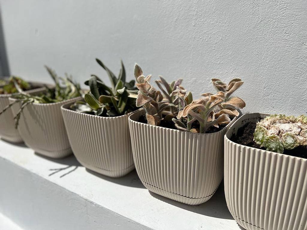 Foto 8 von 11: Studio für 4 Personen mit Garten