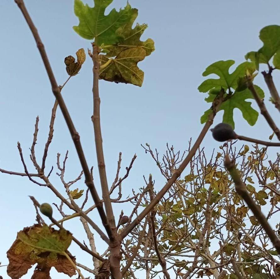 Foto 8 von 11: One-Bedroom Apartment