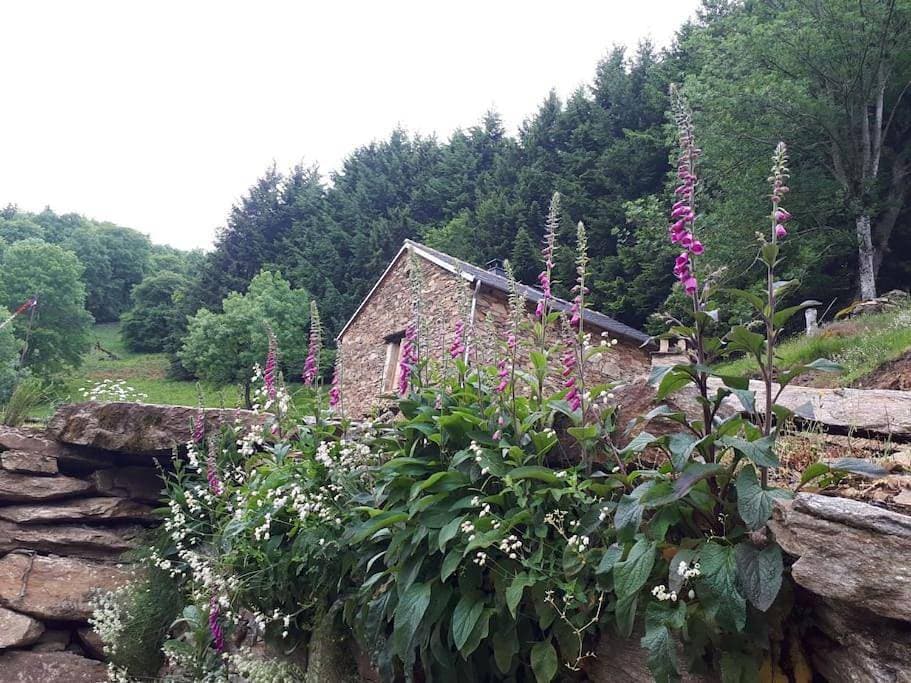 Petite bergerie en pierres tout confort 1