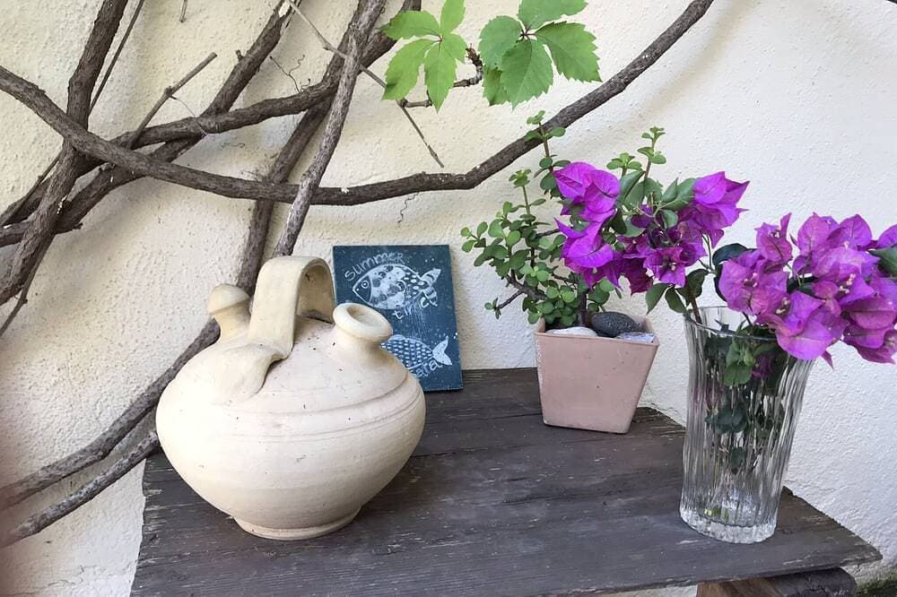 Foto 10 von 19: La Chumbera Baja ideal für Familien