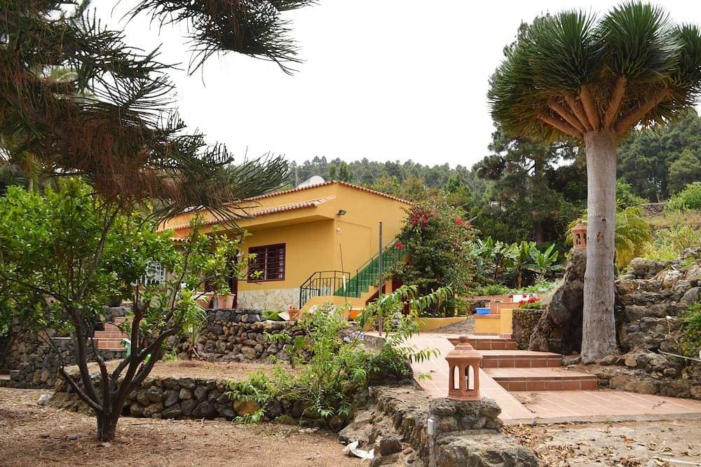 Foto 7 von 30: Finca im Norden Teneriffas / Finca im Norden
