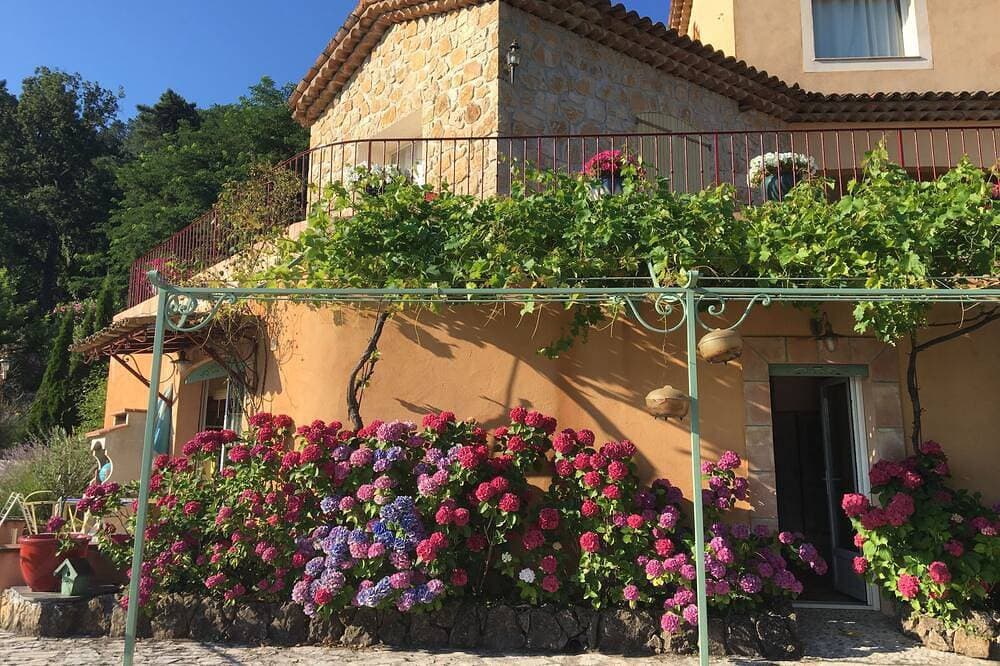 Foto 5 von 30: Im Herzen des Waldes, ein kleines Paradies nur wenige Minuten von Cannes entfernt