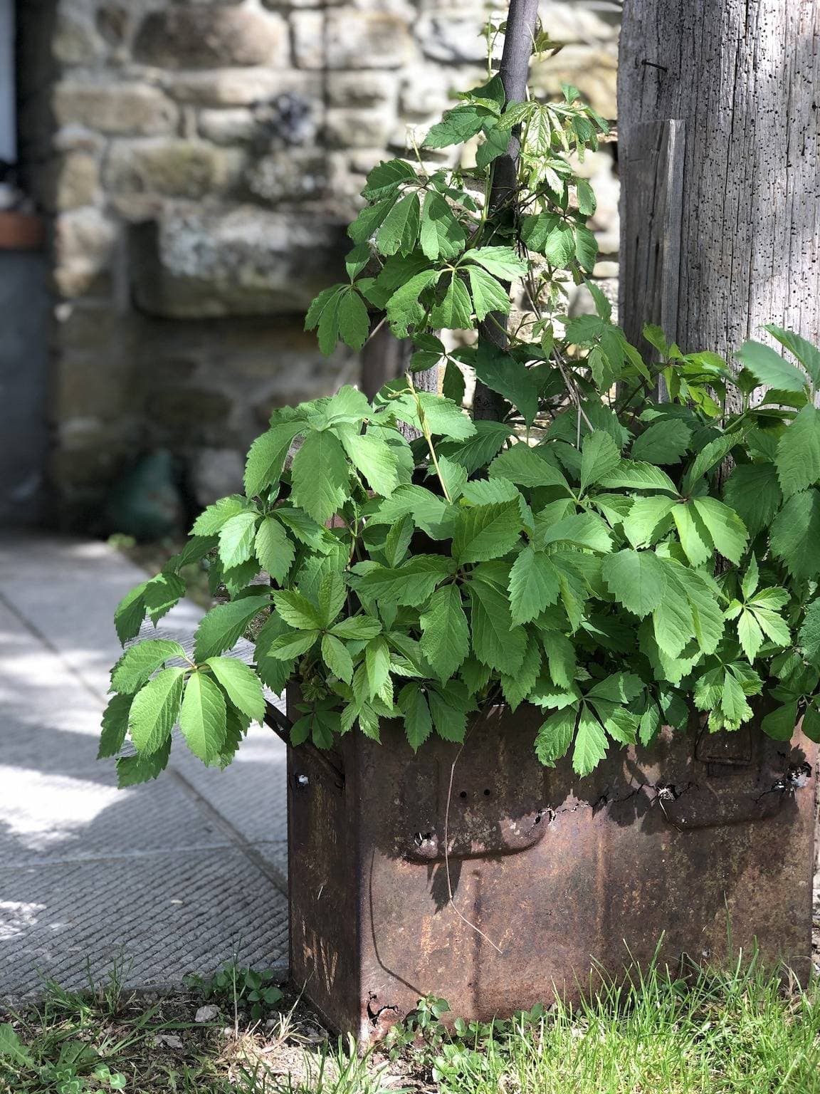 Foto 12 von 27: Das kleine Haus im Wald Spüren Sie die Natur
