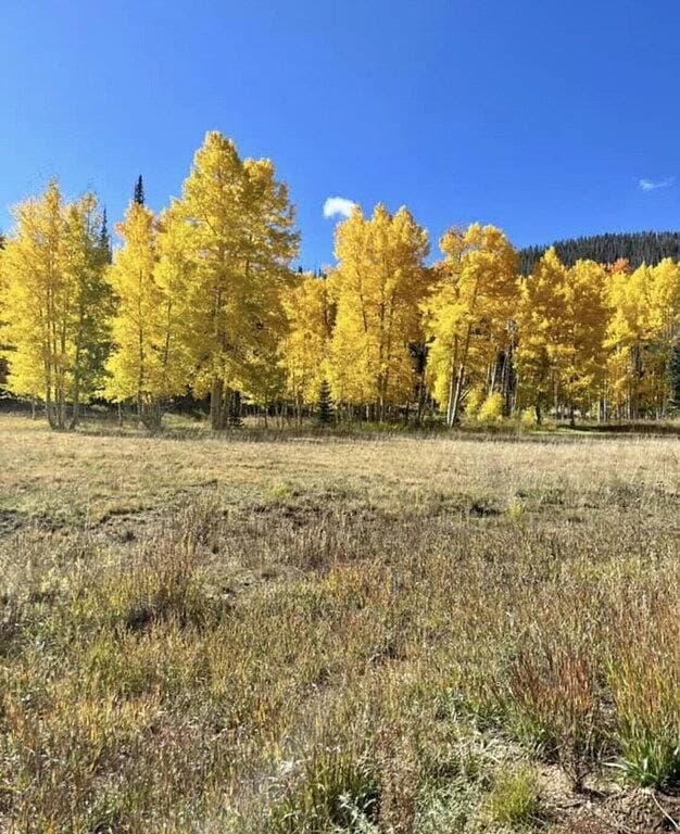 Foto 8 von 37: Cozy🏡Cabin Near⛰Brian Head☀️Zion🌄Bryce Canyon 🏞With📡Wi-Fi 🐶 Pet Friendly