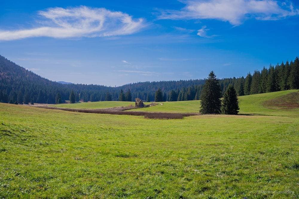 Foto 11 von 12: Cozy Nest in the Heart of Villard-de-Lans, Sleeps 4 Garden and Parking Lot; Departure at 3:00 p.m.