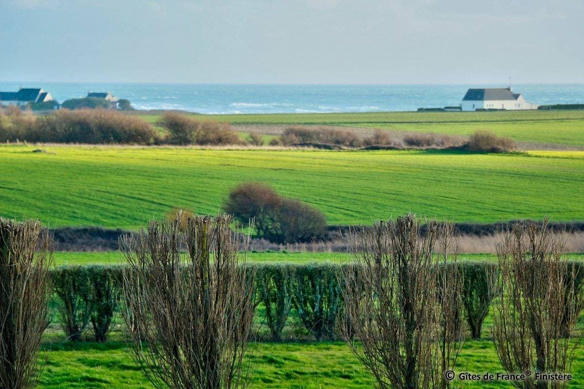 Foto 5 von 28: Ty bigoud