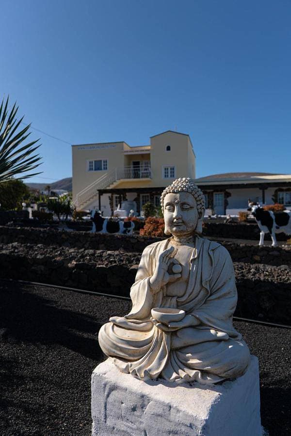 Club JM Lanzarote 1