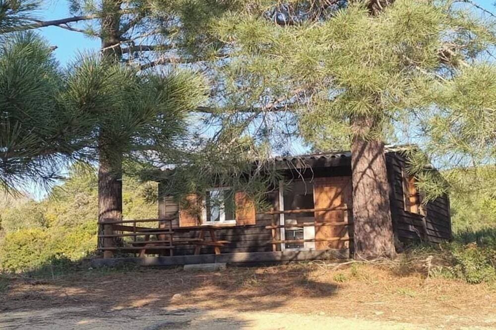 Foto 10 von 11: The hut - an experience in the maquis