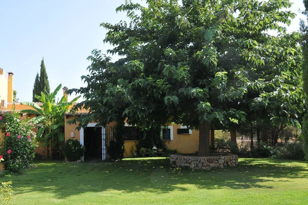 Foto 9 von 24: Wunderschöne Finca mit Pool und Sommerküche, die keine Wünsche offen läßt