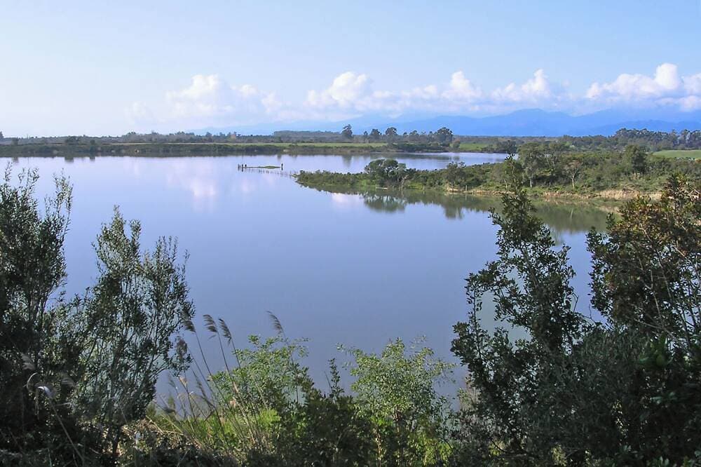 Foto 12 von 25: A 5 km von Aléria und Stränden, Ruhe, Natur, See (150 m)