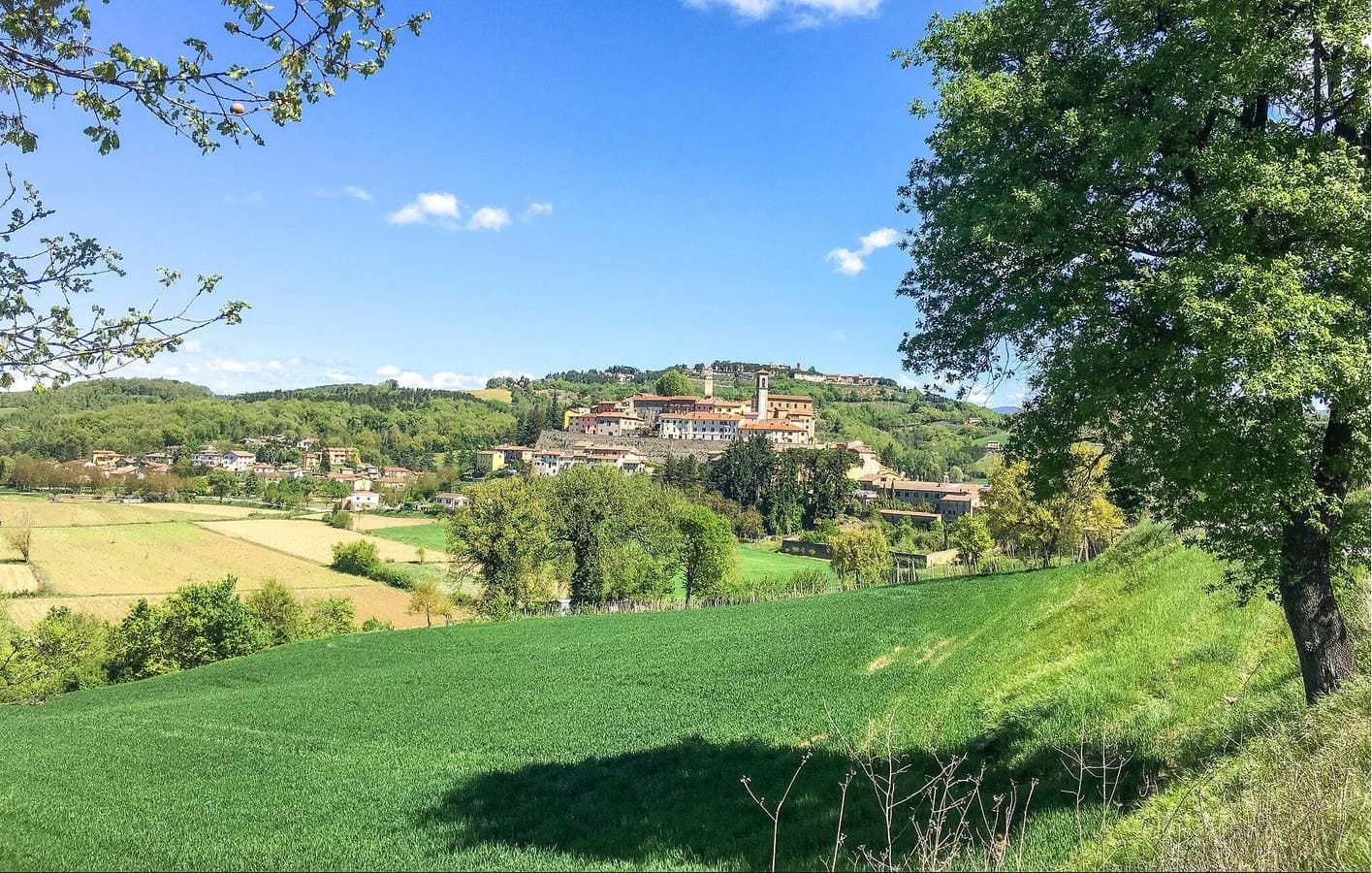 Foto 9 von 37: Riverside Oasis Wohnung mit Pool und Wifi in Monte Santa Maria Tiberina