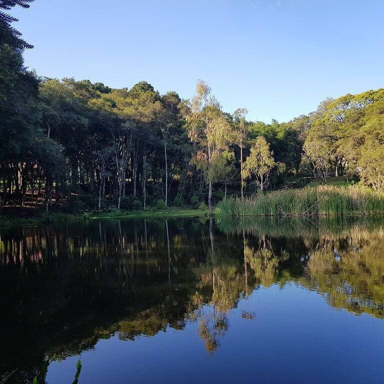 Foto 4 von 44: Cabin | Pool | Lake | Pet-friendly | 50 min from Curitiba