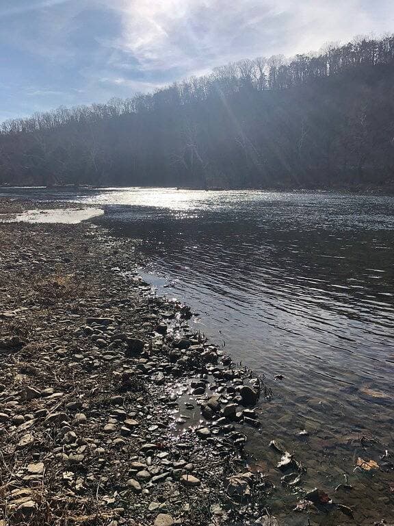 Foto 13 von 20: Das Leben ist besser im Shenandoah River in unserem gemütlichen Riverfront Cottage !!