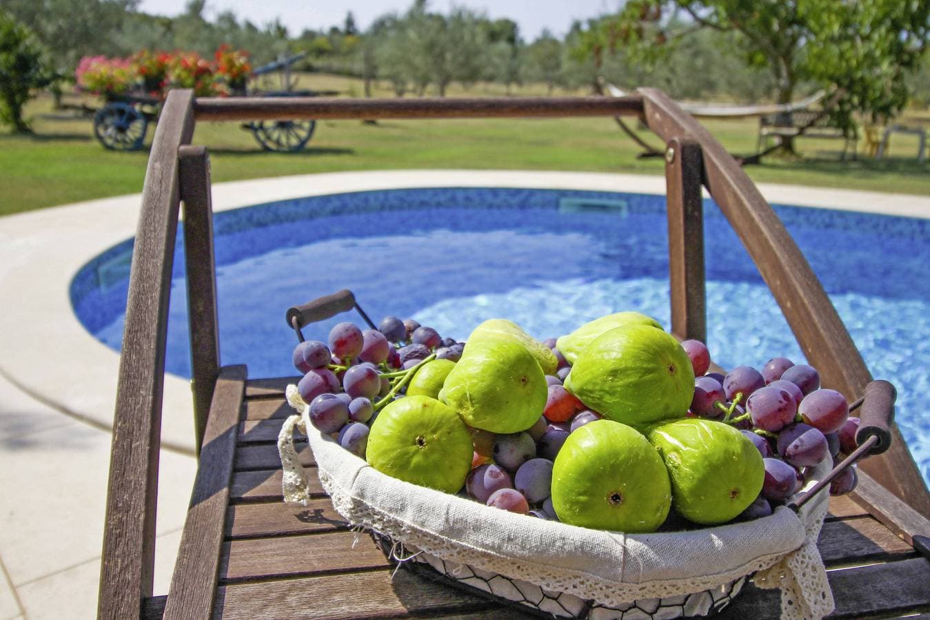 Foto 10 von 28: Ferienhaus Šalvela * 11000 m2 Grundstück, Garten, privater Pool, WLAN