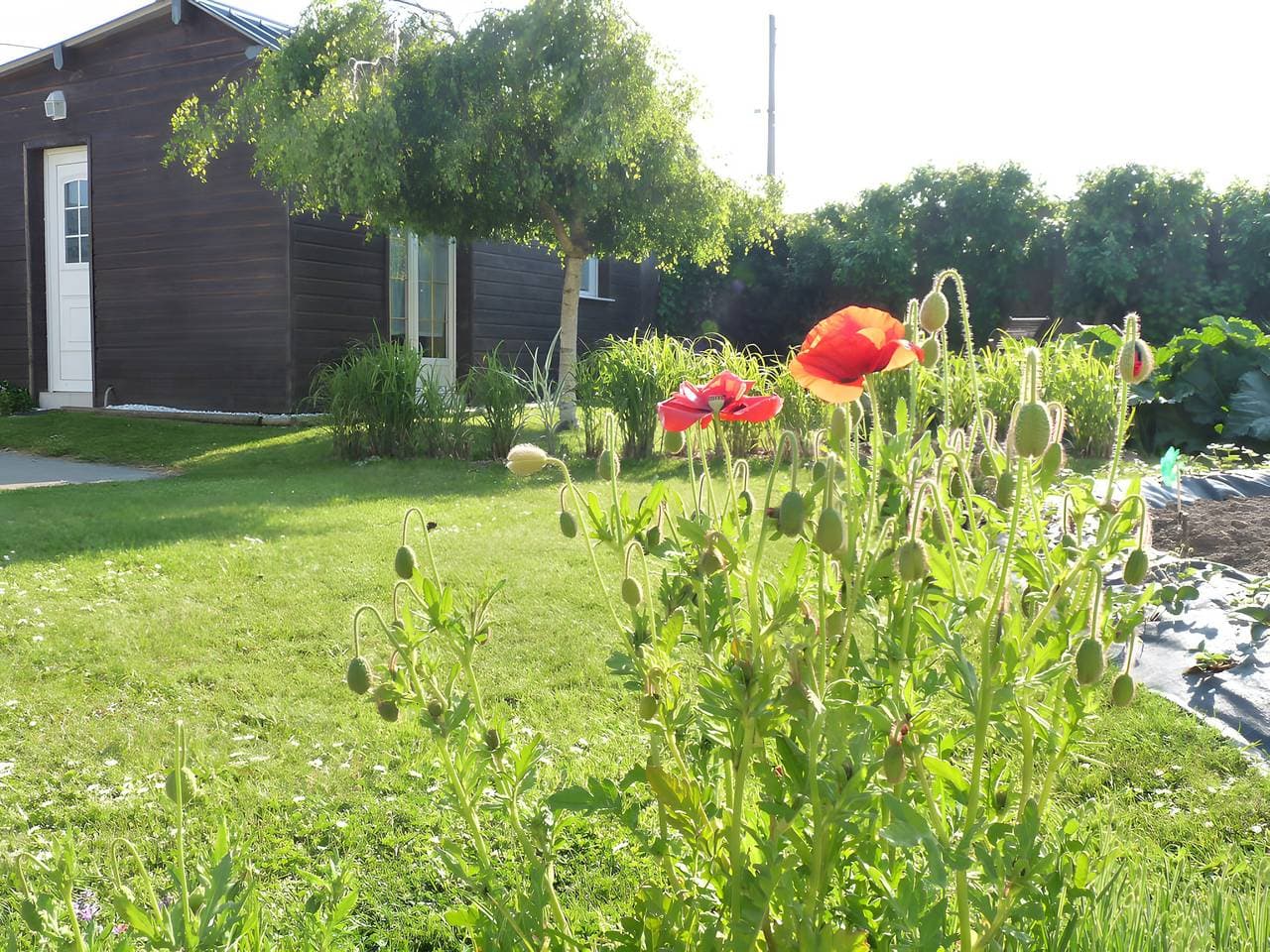 Foto 5 von 20: Gemütliches kleines Ferienhaus „L'abri côtier“ nahe Fécamp und Étretat