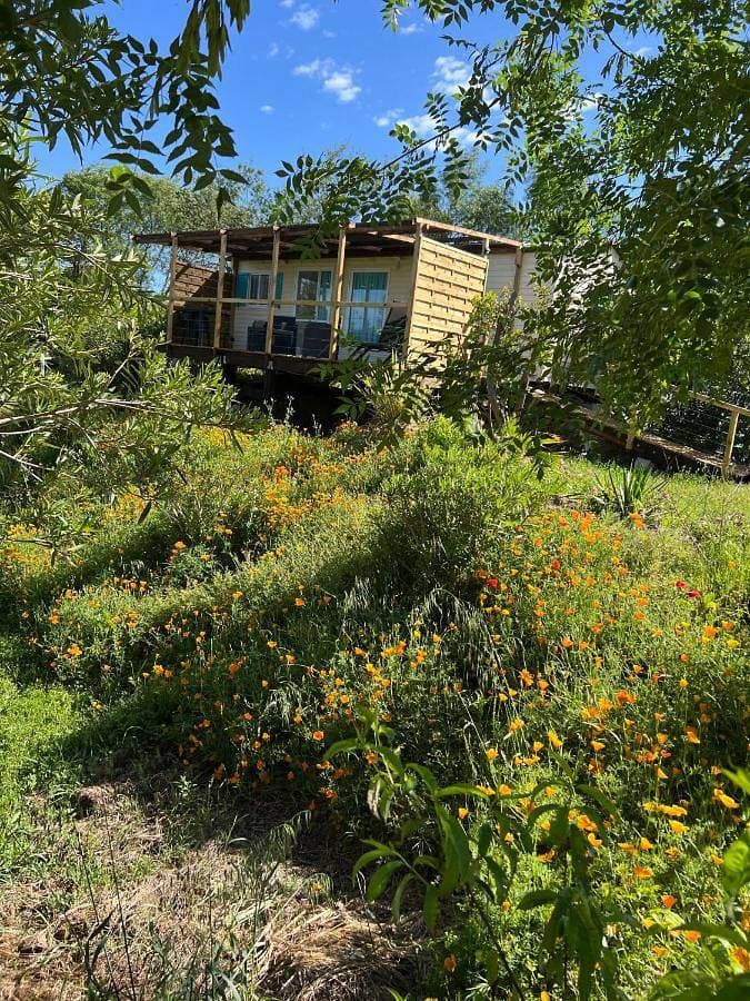 Foto 4 von 7: Mobile Home
