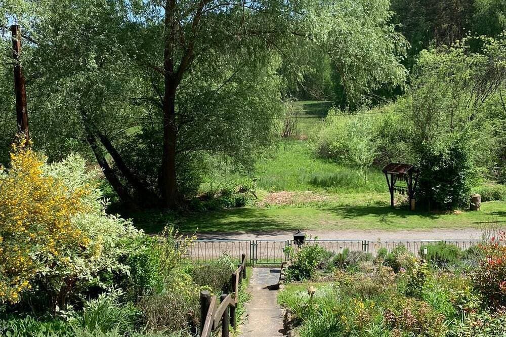 Foto 6 von 30: Ferienhaus Ulla ( am Schwielochsee) Natur pur erleben