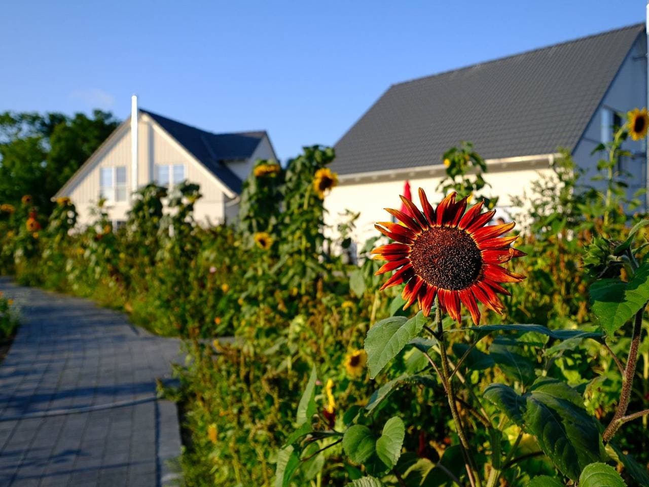 Foto 4 von 17: Hafenflair