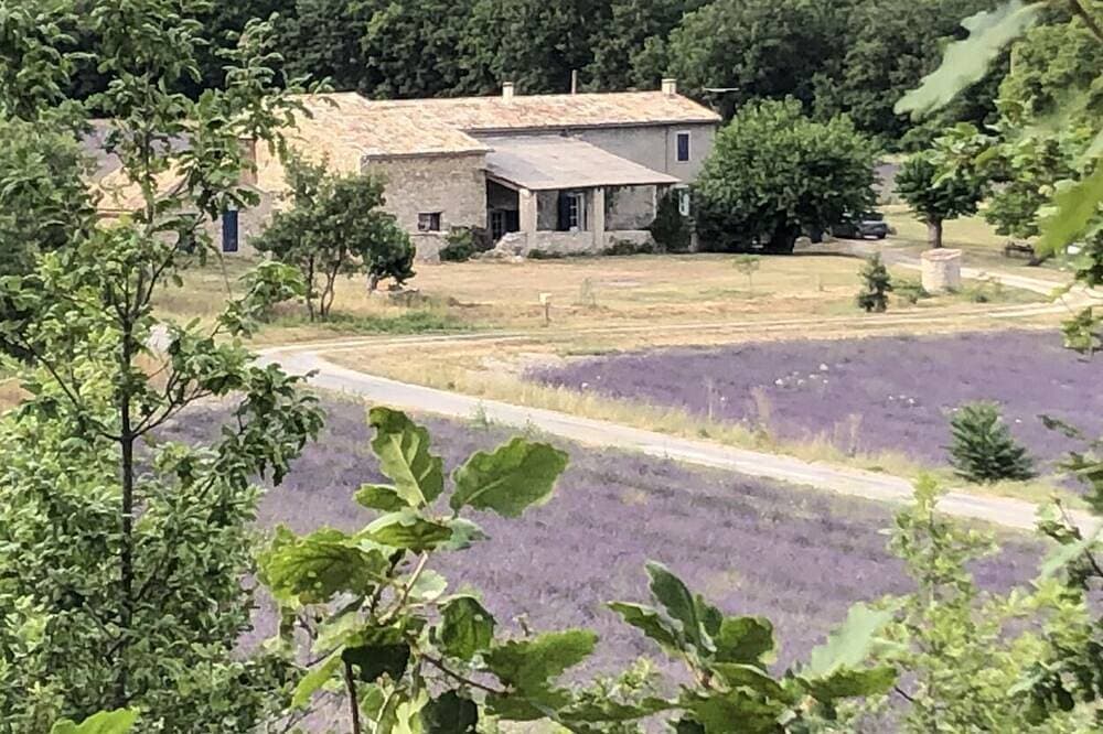 Foto 11 von 18: Quiet little cottage in the middle of lavender fields