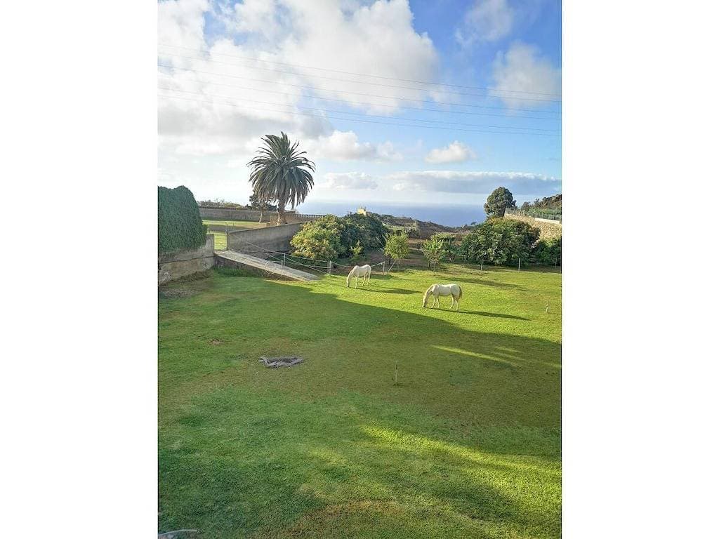 Foto 3 von 13: Finca Palmeras 2