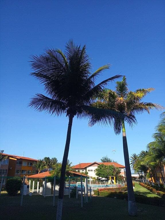 Foto 9 von 35: Just a few steps from the beach - Ground-floor 2-bedroom apartment, swimming pools, AC, Wi-Fi, garage