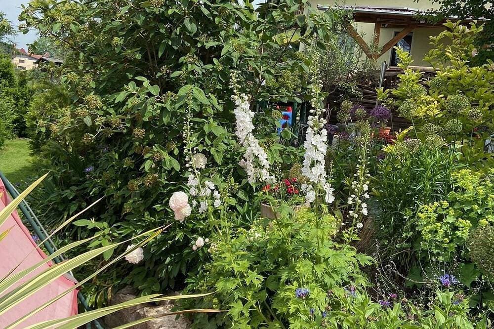Foto 7 von 30: Große familienfreundliche Ferienwohnung / Ferienhaus mit Terrasse,