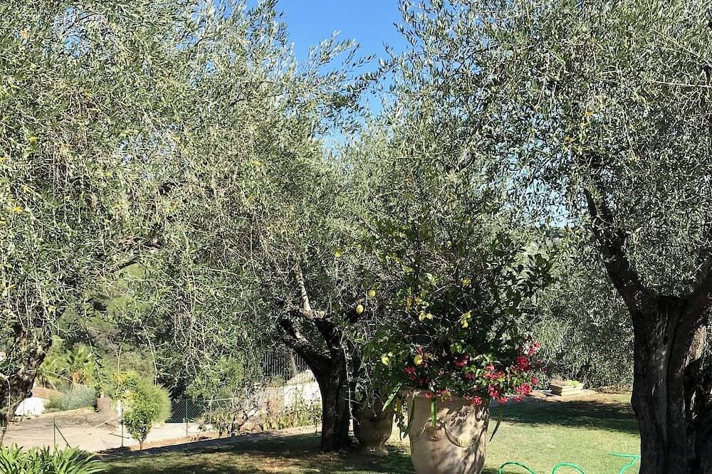 Foto 11 von 25: Le Bastidon des Oliviers, countryside at the gateway to Cannes