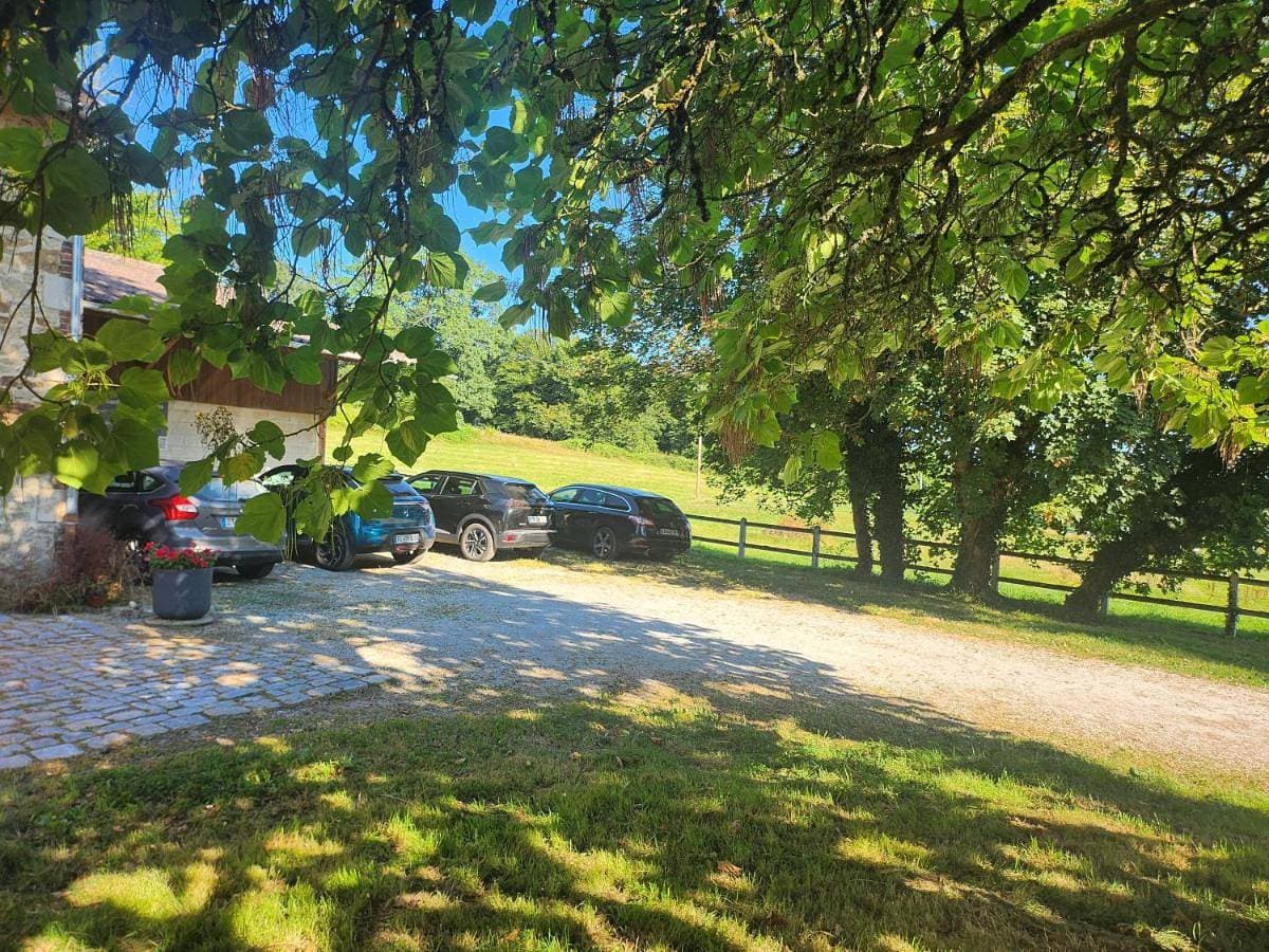 Foto 5 von 11: Double Room with Garden View