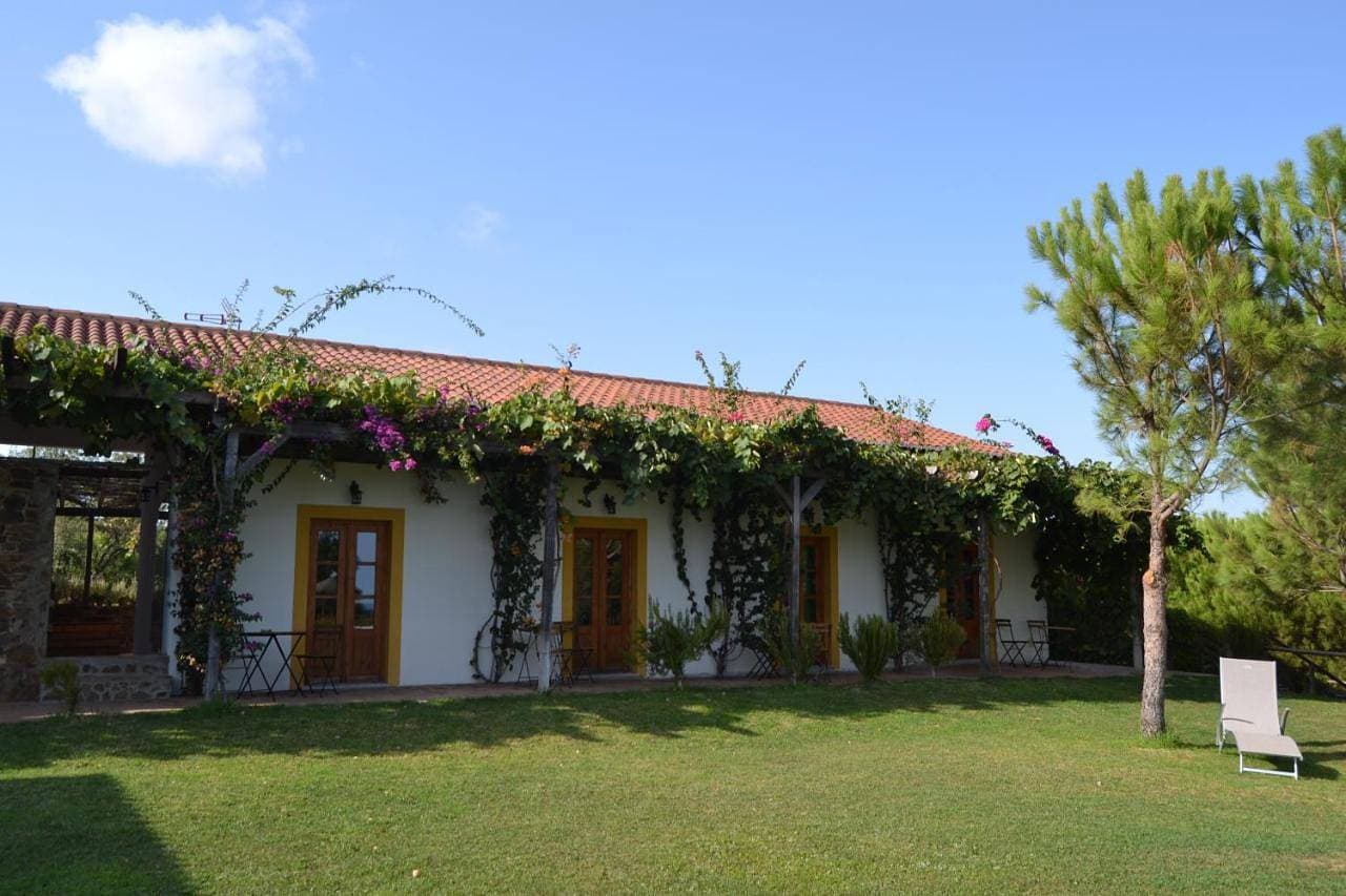 Casa de Campo Vale do Asno 1