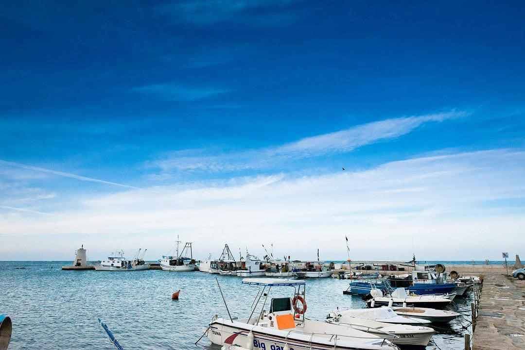 Foto 8 von 30: Ferienwohnung mit Meerblick gleich am Wasser