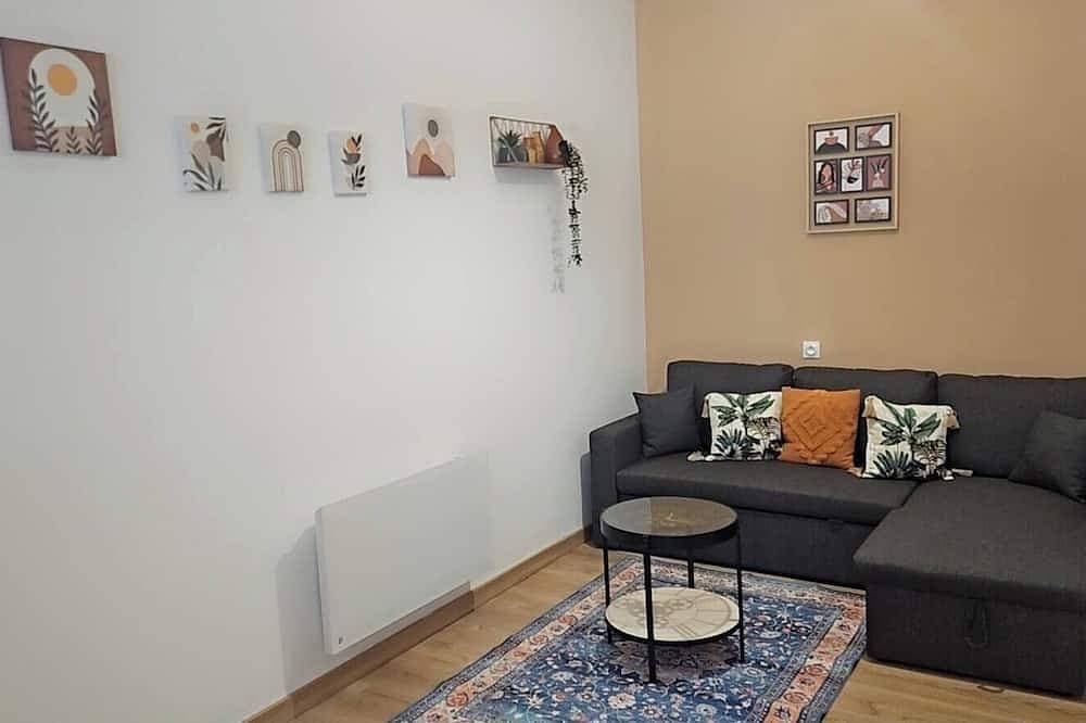 Large 47 m² renovated family apartment on 1st floor - Portes des Ardennes 1