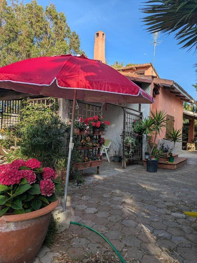 Accogliente appartamento mansardato Casa dei girasoli 1