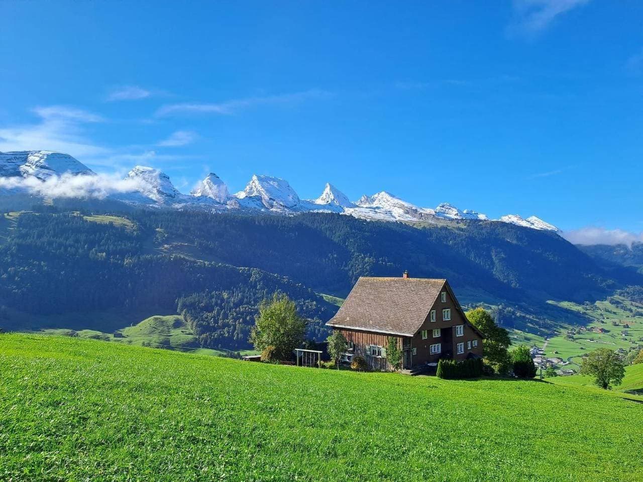 Haldenhof Schwizer 1