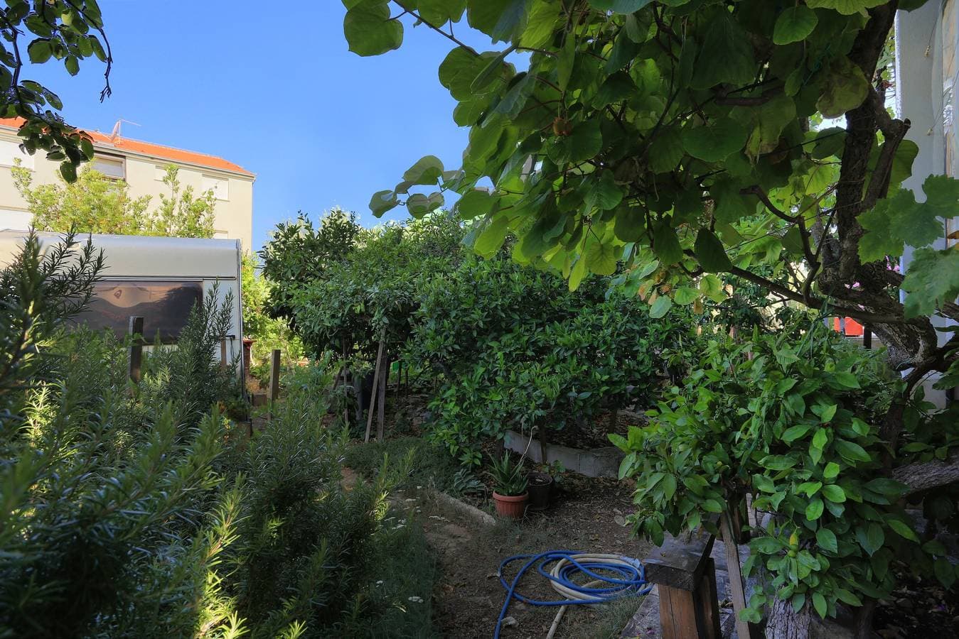 Foto 10 von 24: Studio Appartement mit Balkon und Meerblick Okrug Gornji, Ciovo -a