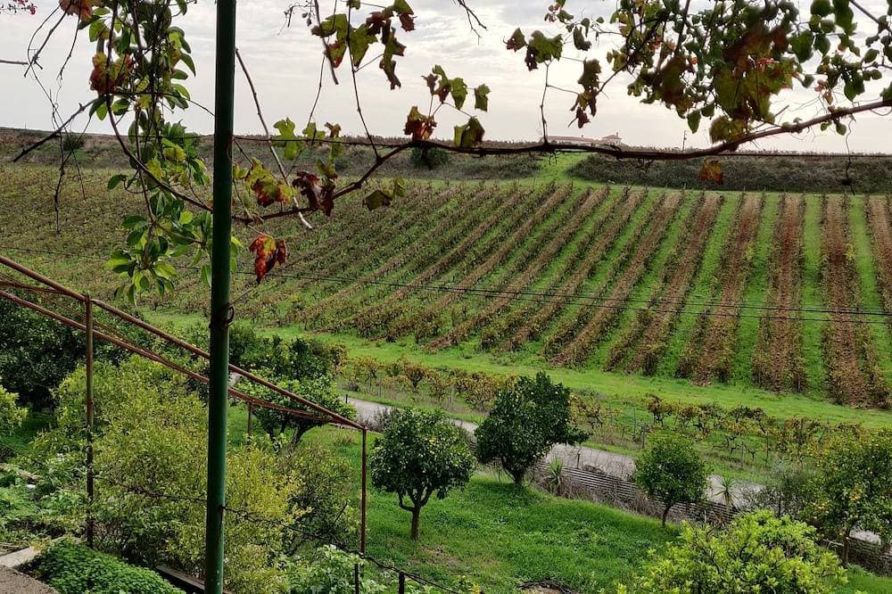 Foto 11 von 16: Lovely 2-bedroom bungalow in Cartaxo